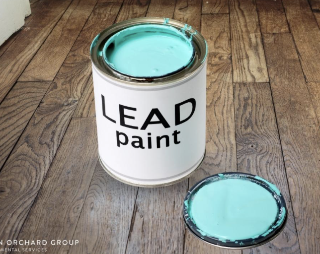 Lead Professional